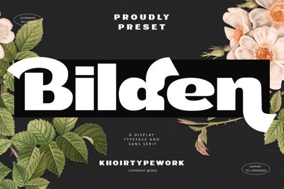 Bilden: A Bold, Chic Display Font for Real Business Branding